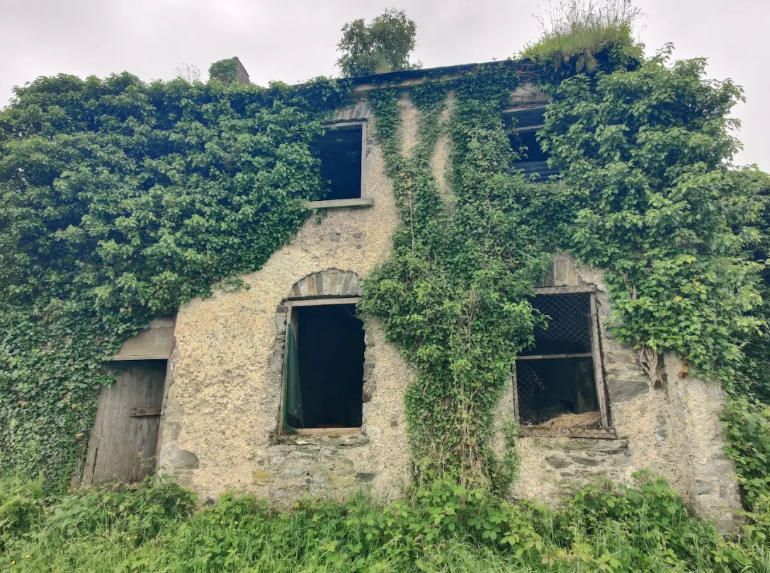 Drumboe Castle, Ireland